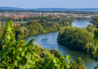 Wirtschaftspolitische Perspektiven - Facetten der mainfränkischen Weinwirtschaft