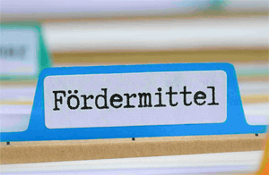 Fördermittelstudie 2024